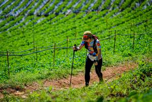 BIB: 
                            <button type="button" onclick="openModal(19164575)" class="btn btn-primary btn-sm float-right btn-popup" data-toggle="modal" data-target=".modal-high-quality">
                        <i class="fas fa-shopping-cart"></i> Add to Cart
                    </button>
                                            <button type="button" onclick="isThisMe(19164575, true)" class="btn btn-success btn-sm float-right btn-popup btn-isme hidden" data-toggle="tooltip" data-placement="bottom" title="นี่คือรูปของคุณใช่ไหม คลิกที่นี่เพื่อเอาเข้าอัลบั้ม">
                        <i class="fas fa-plus"></i> Add to album
                    </button>
                    <button type="button" onclick="isThisMe(19164575, false)" class="btn btn-warning btn-sm float-right btn-popup btn-isnotme hidden">
                        <i class="fas fa-ban"></i> Remove from album
                    </button>